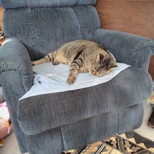 Meet your Posher, Dan